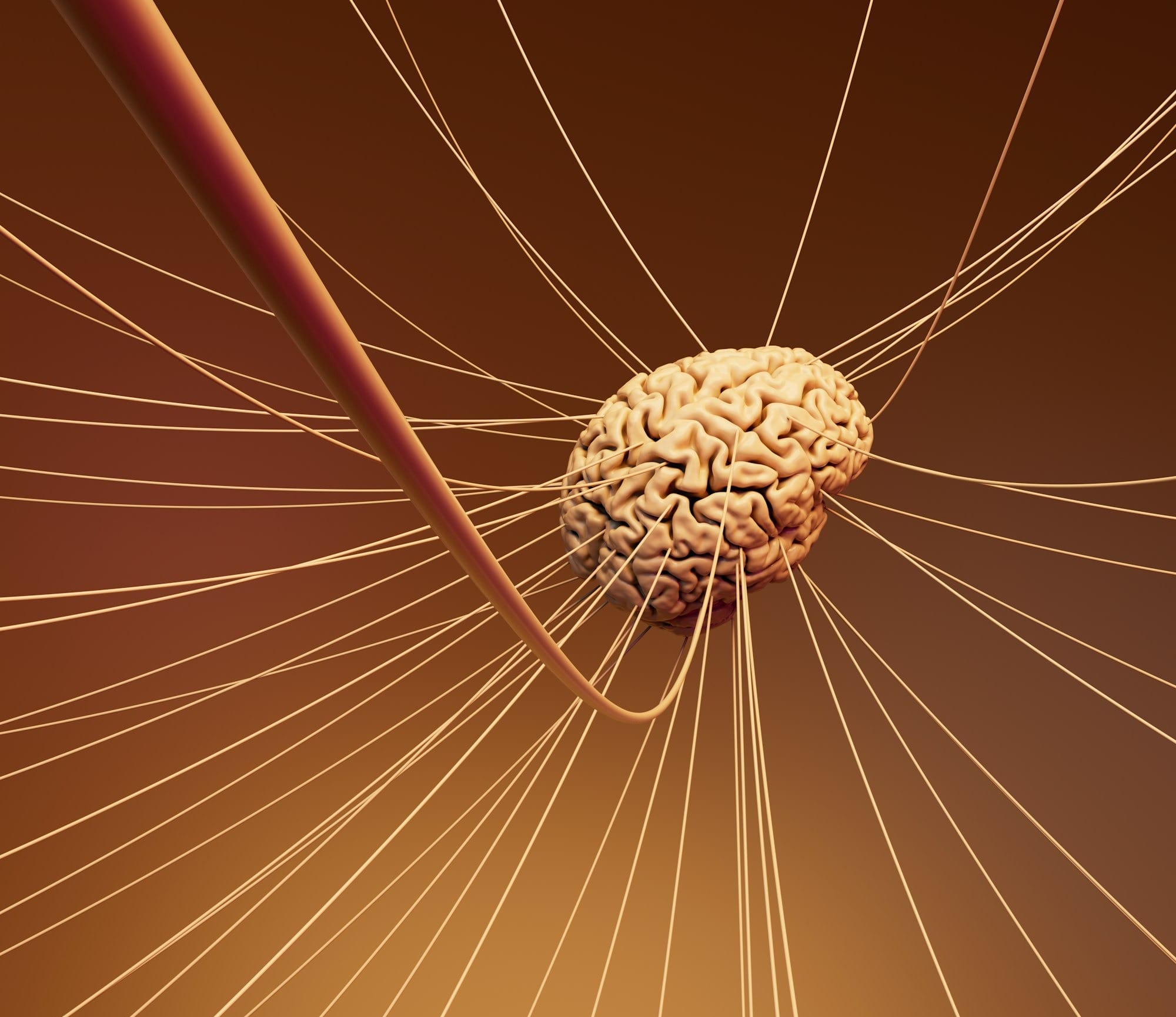 A computer generated image of a human brain